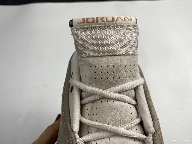 Rep Low Clot AIR Jordan Blush DC9857-200 14 Retro Terra 0715